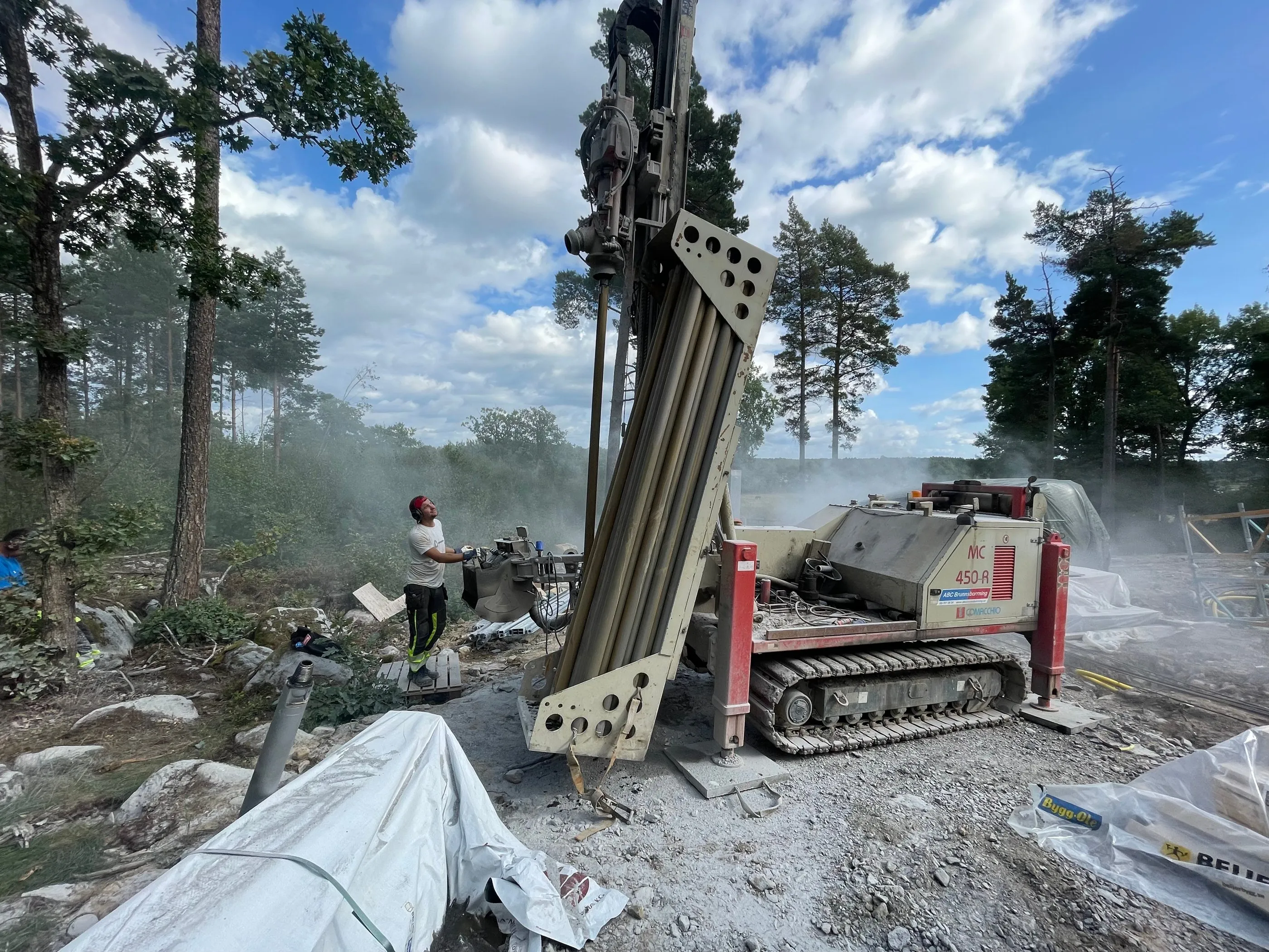Borriggen på en tomt i Bro